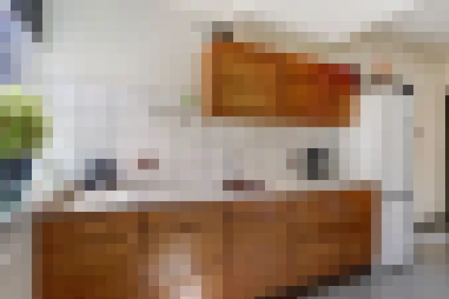 Sint Odulphusstraat 11 Bakhuizen thumbnail 16
