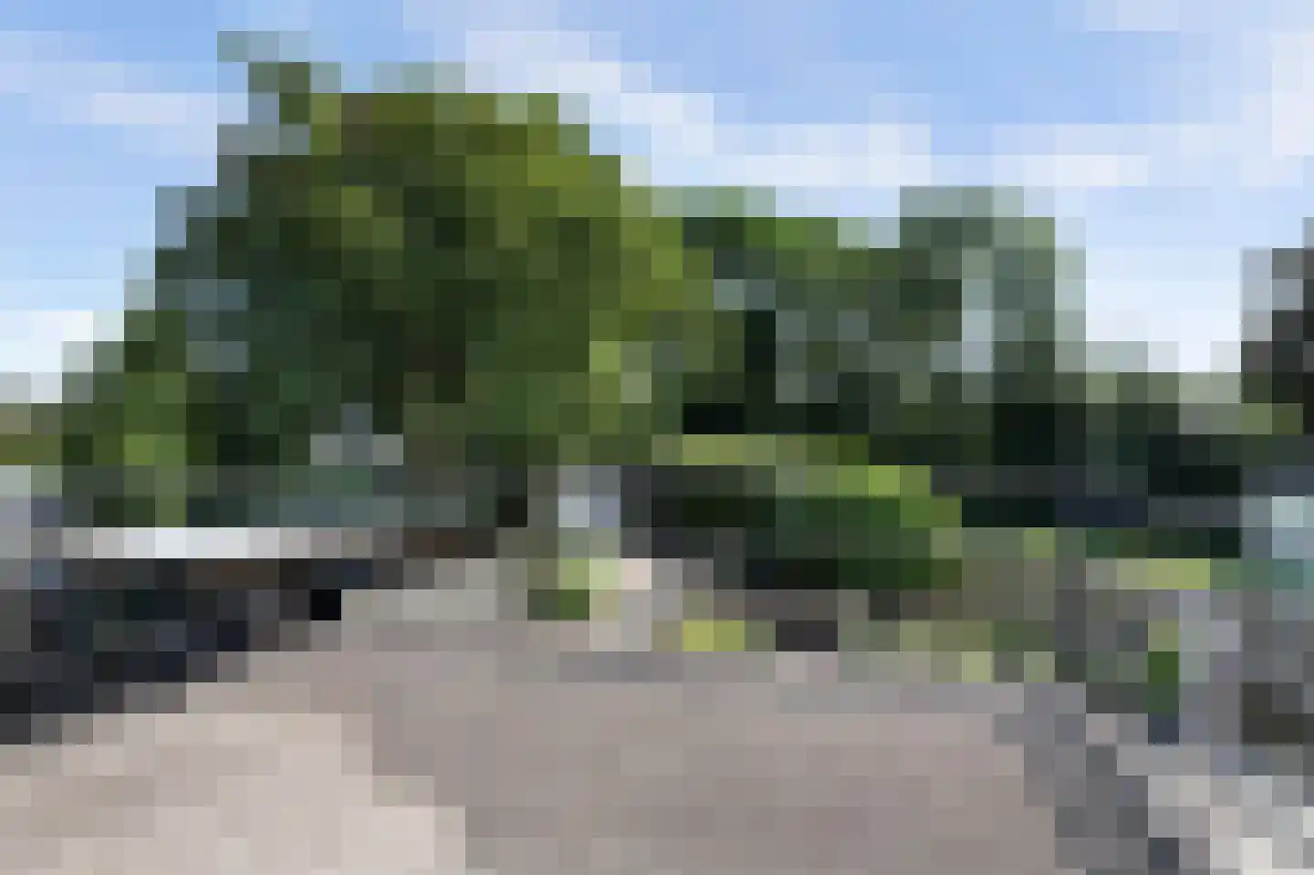 Sint Odulphusstraat 11 Bakhuizen thumbnail 39