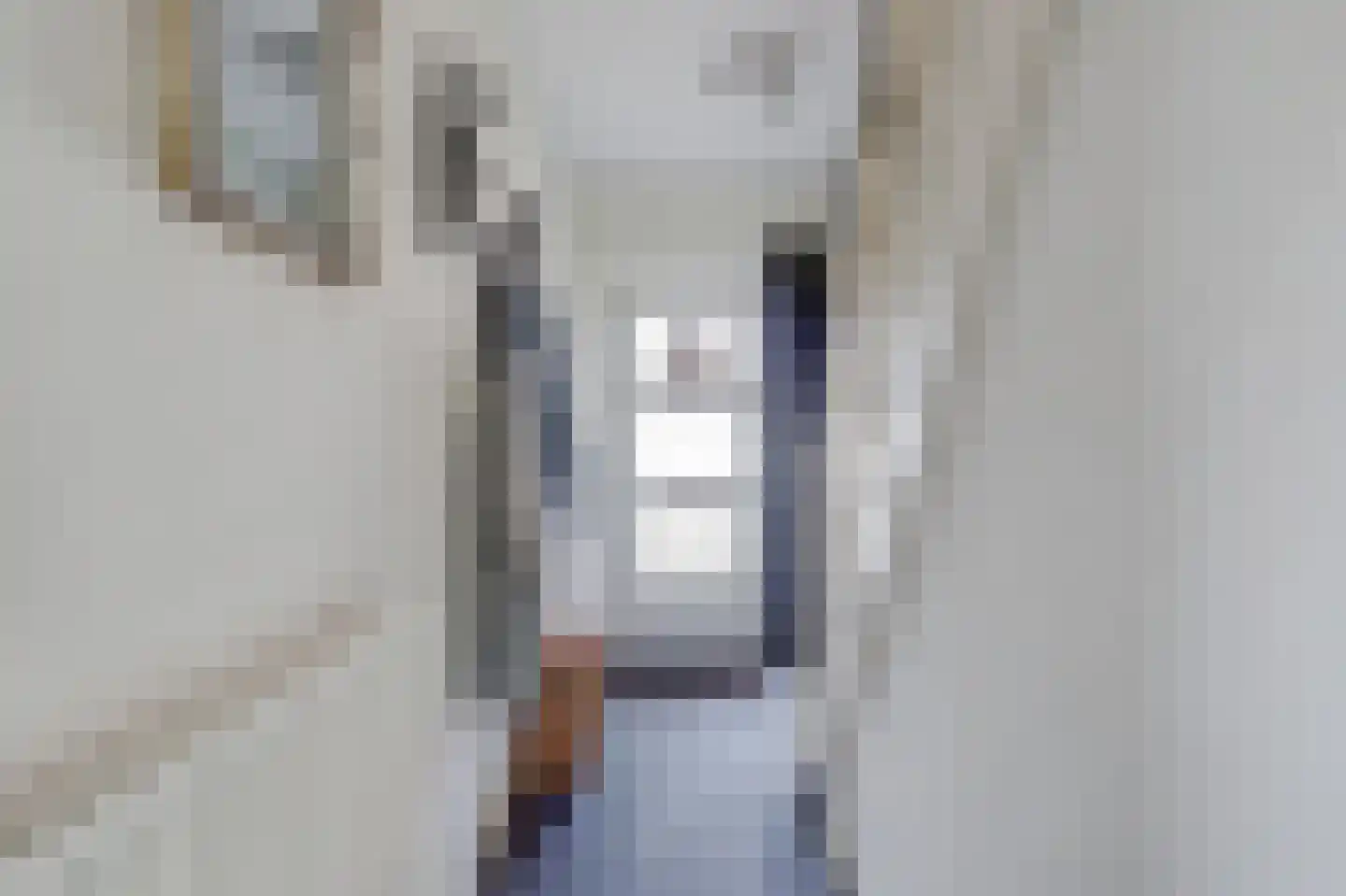 Sint Odulphusstraat 11 Bakhuizen thumbnail 5