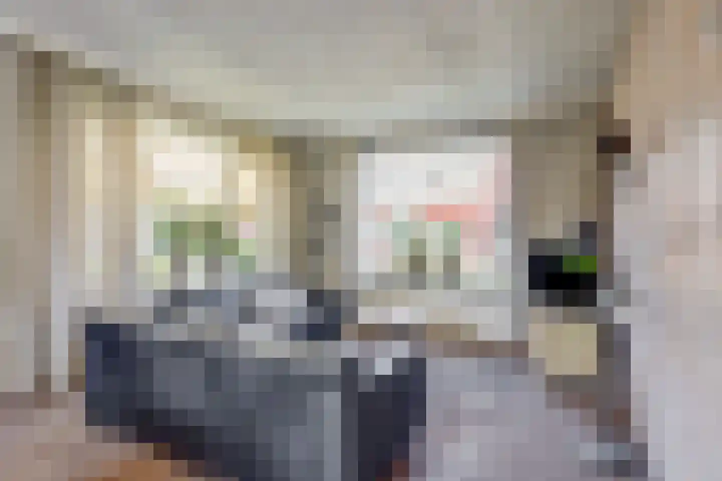Sint Odulphusstraat 11 Bakhuizen thumbnail 6