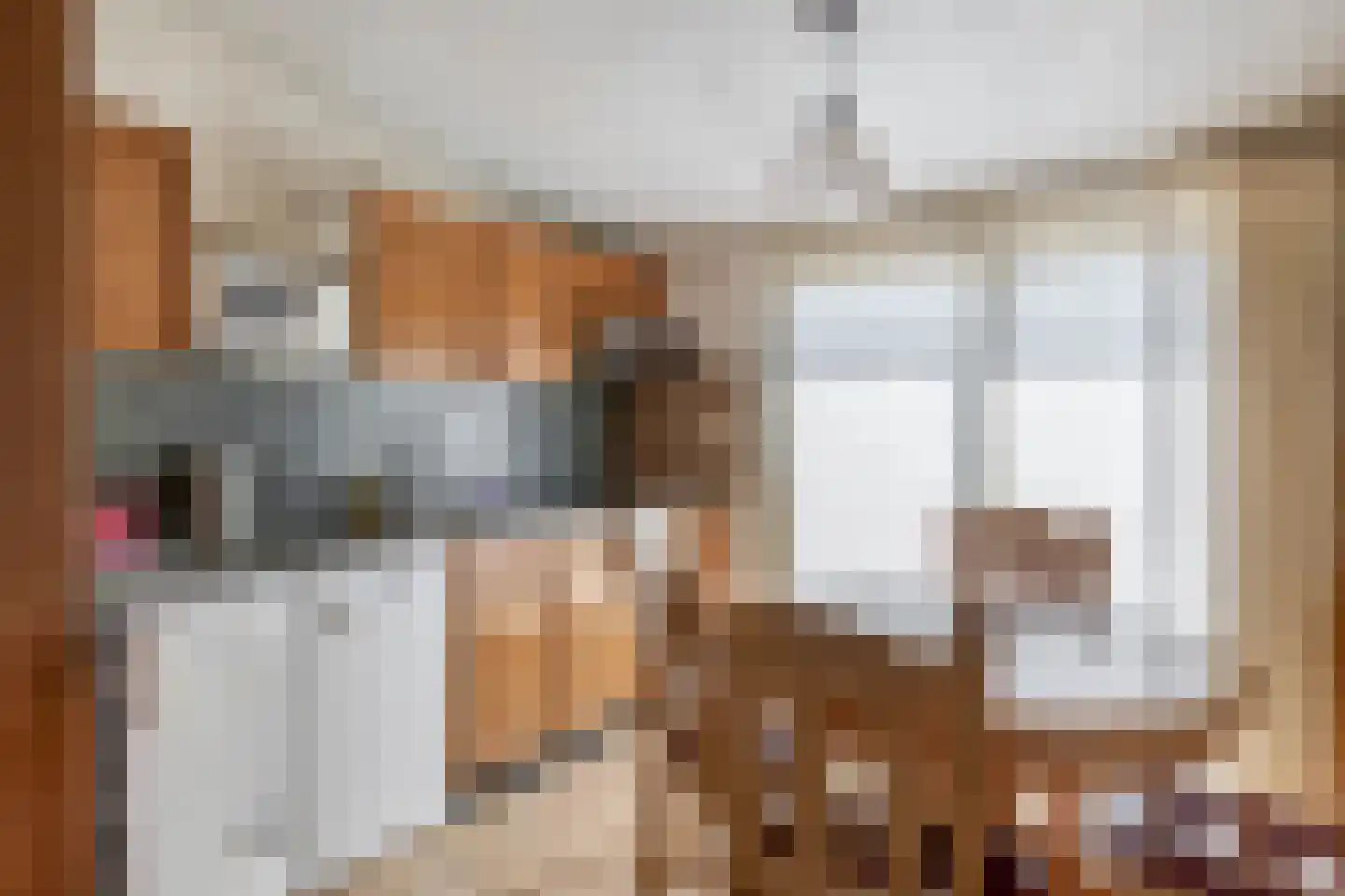 Sint Odulphusstraat 5 Bakhuizen thumbnail 15