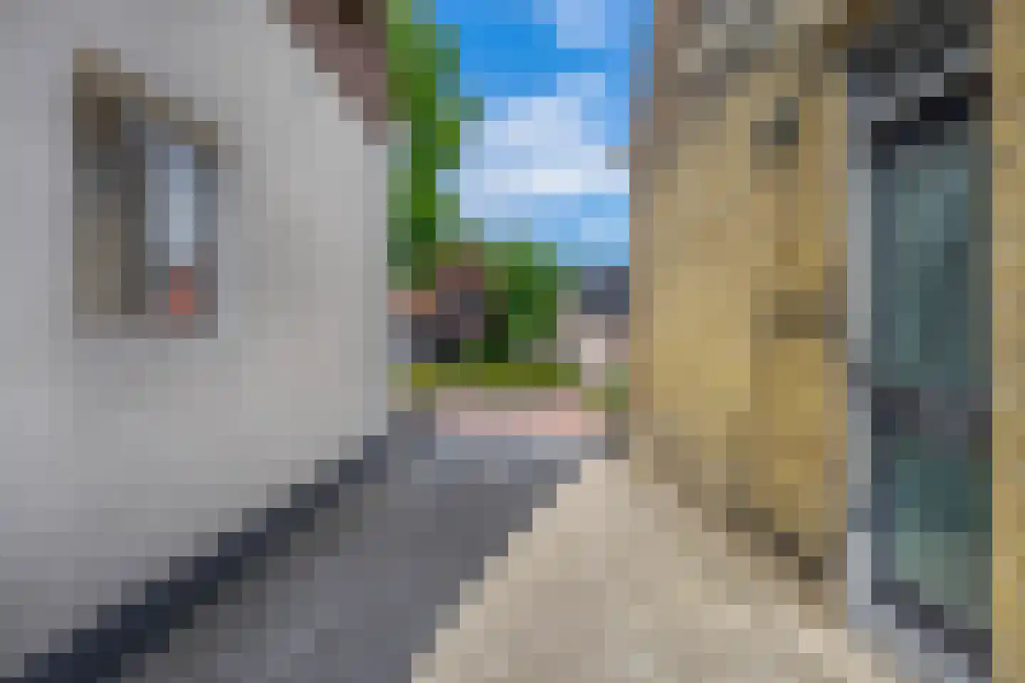 Sint Odulphusstraat 5 Bakhuizen thumbnail 30