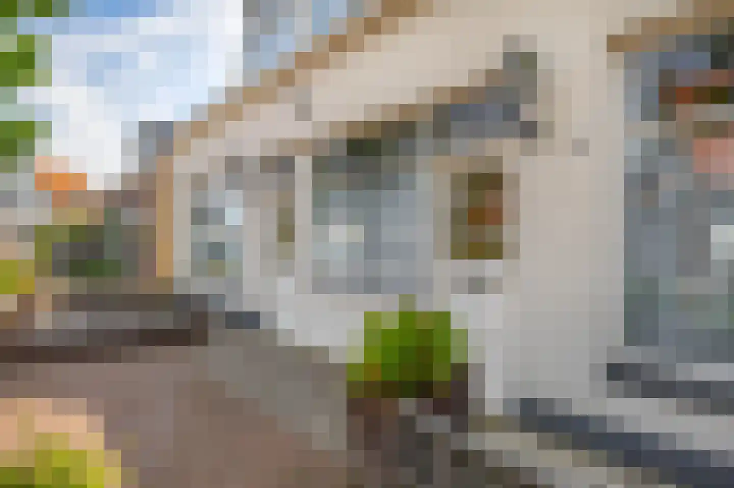 Sint Odulphusstraat 5 Bakhuizen thumbnail 6