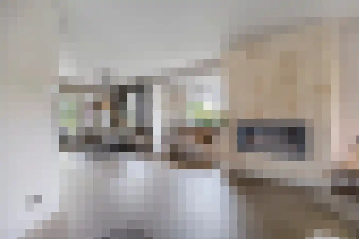 Sint-Oedenrodeseweg 26 Best thumbnail 19