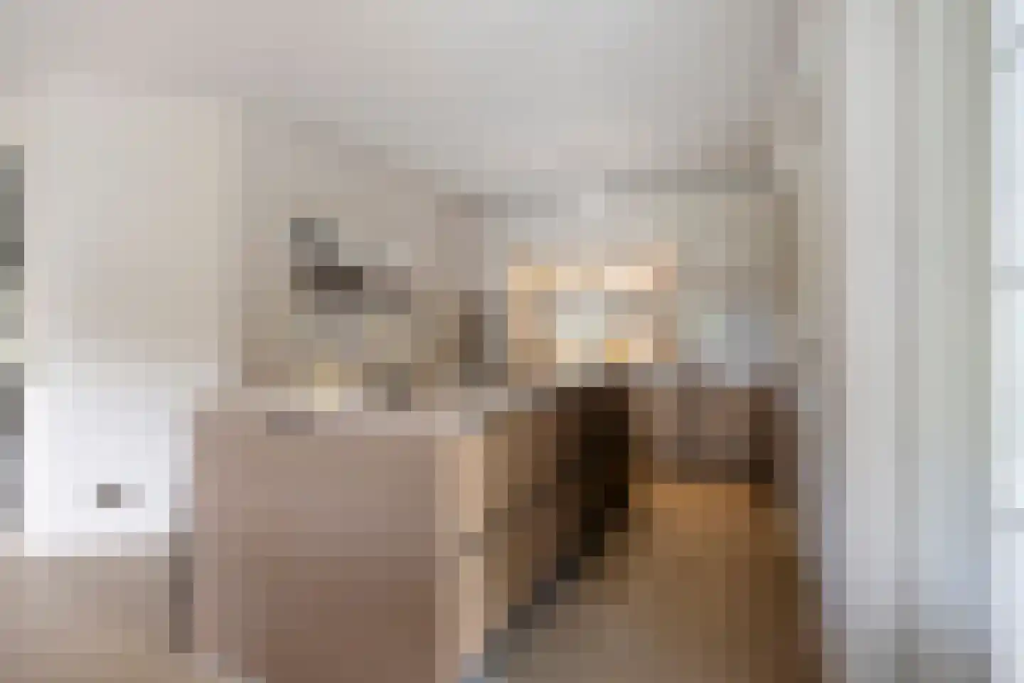 Sint-Oedenrodeseweg 26 Best thumbnail 27