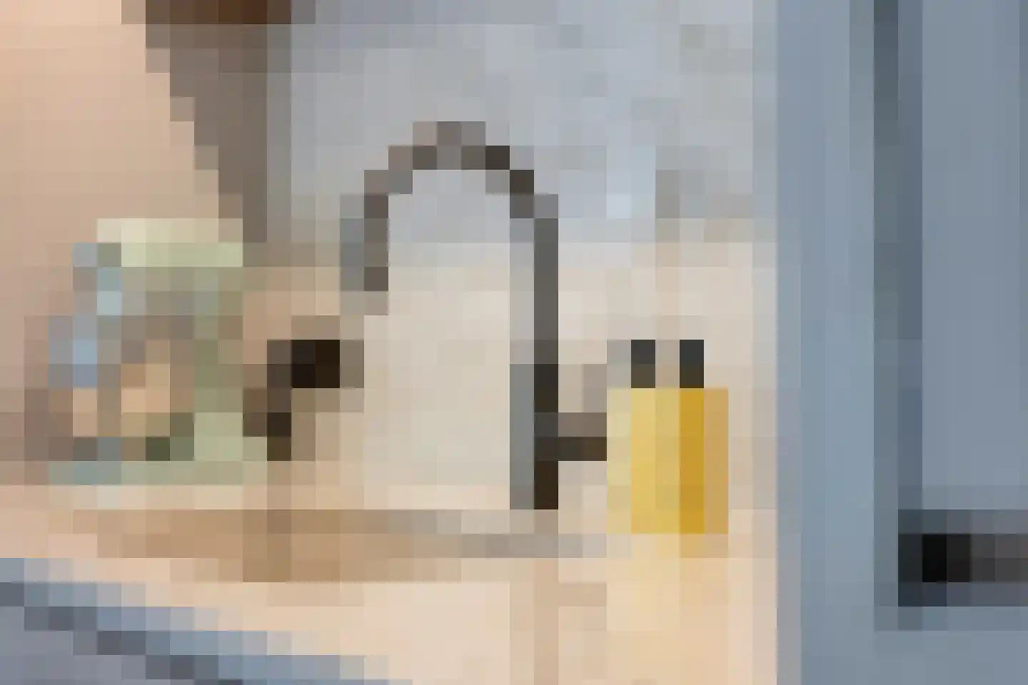 Sint-Oedenrodeseweg 26 Best thumbnail 33