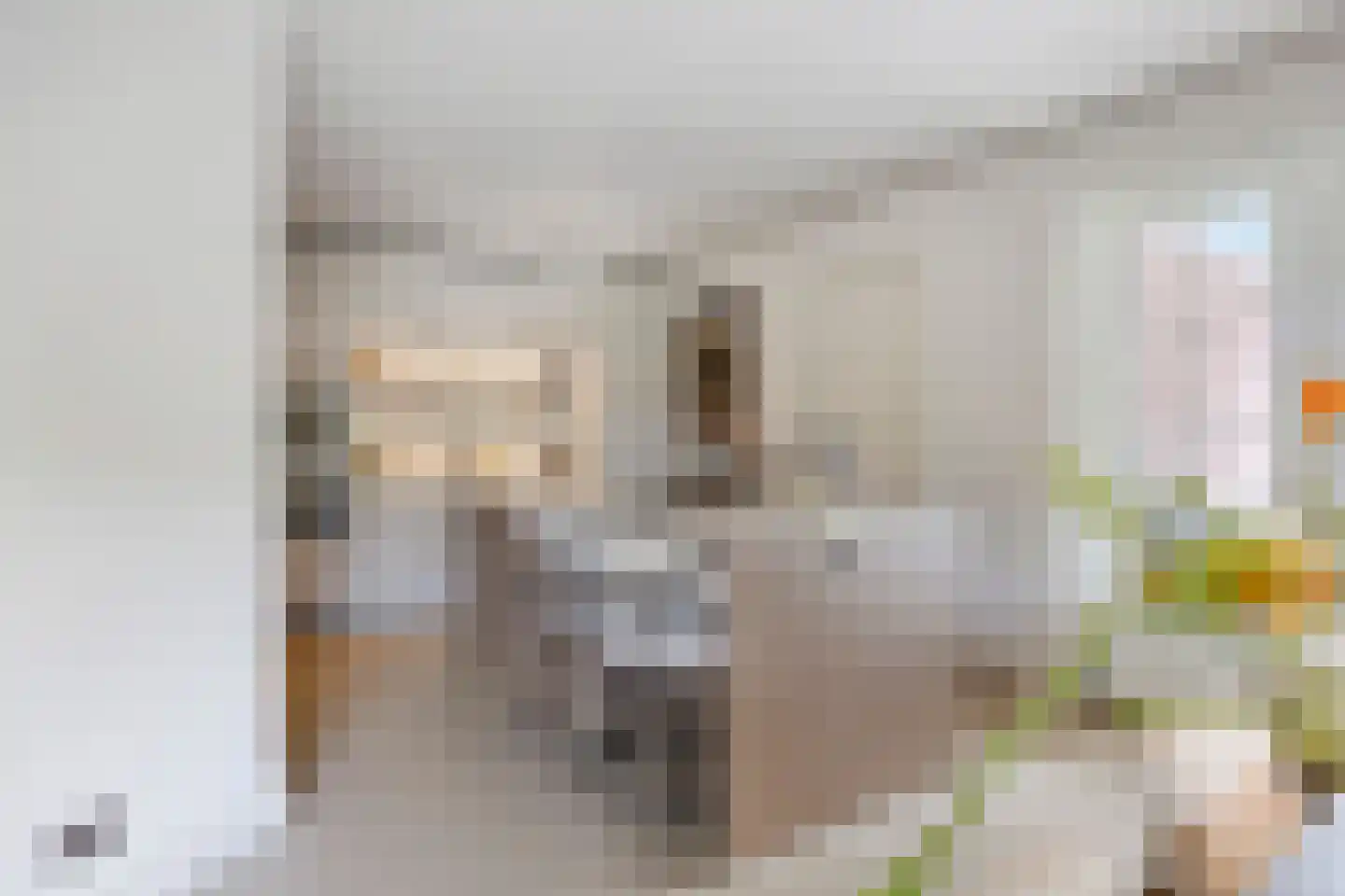 Sint-Oedenrodeseweg 26 Best thumbnail 4