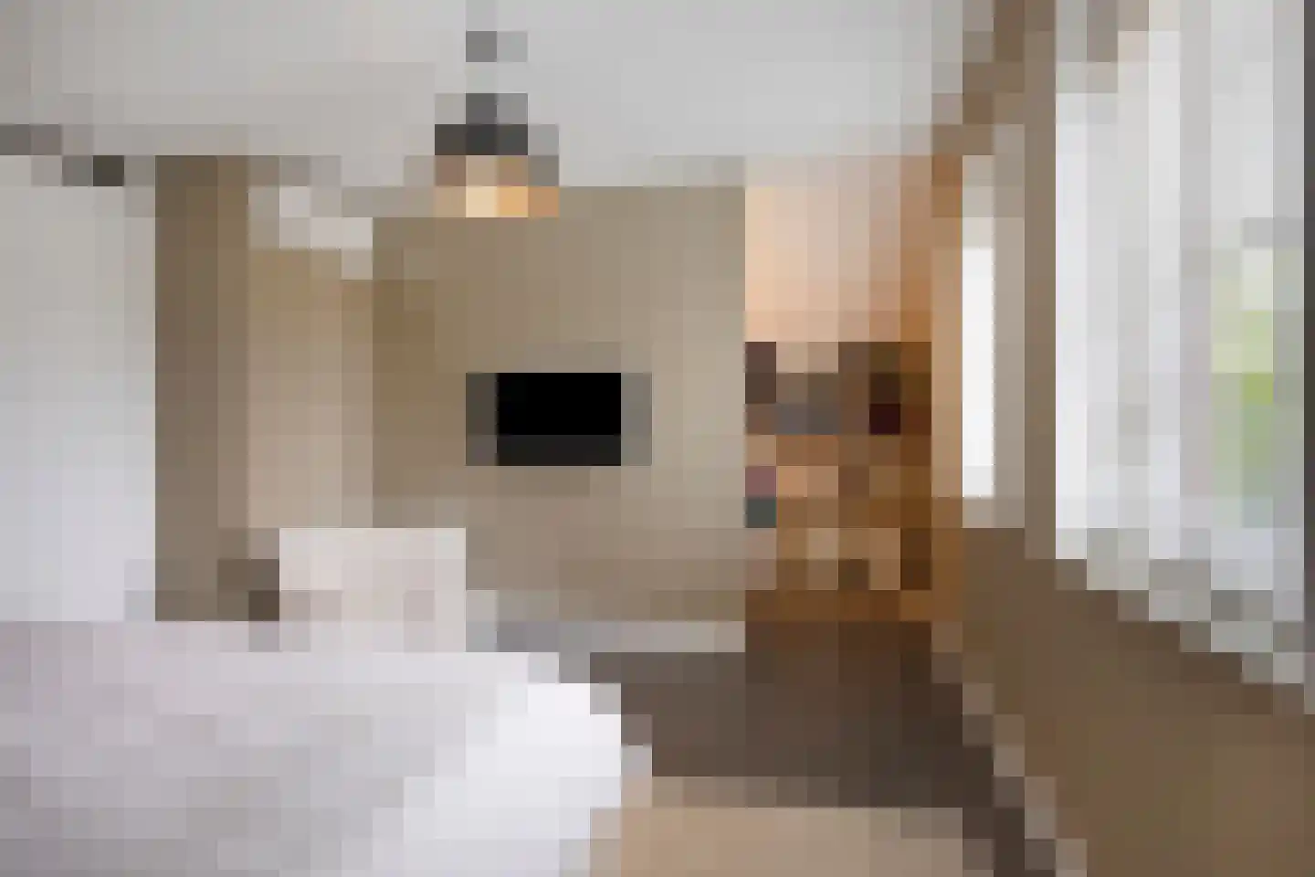 Sint-Oedenrodeseweg 26 Best thumbnail 47