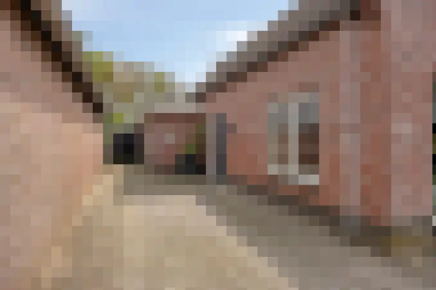 Sint-Oedenrodeseweg 26 Best thumbnail 5