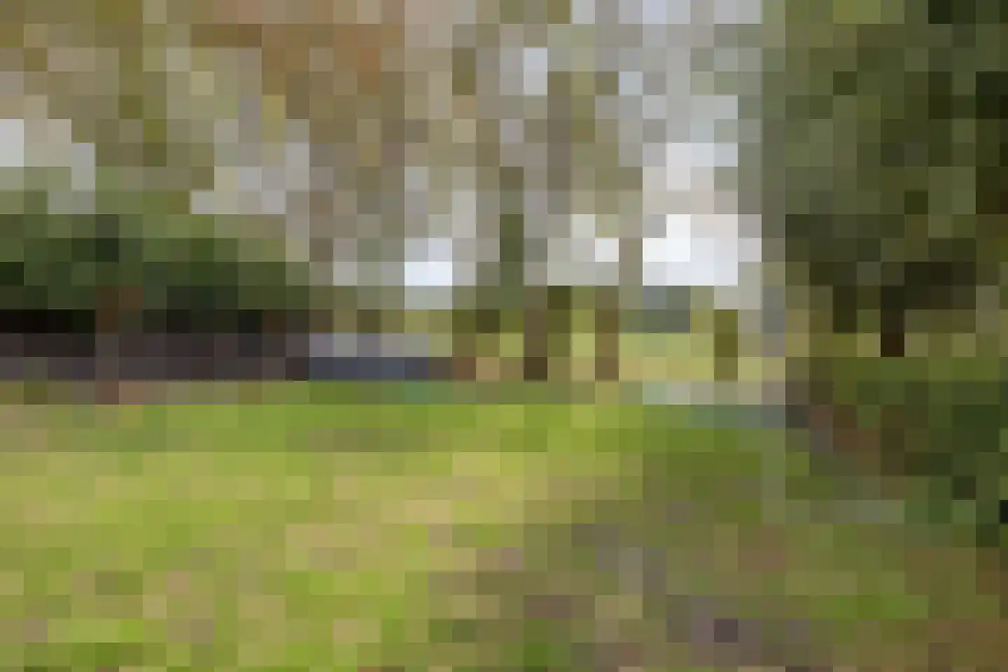 Sint-Oedenrodeseweg 26 Best thumbnail 64