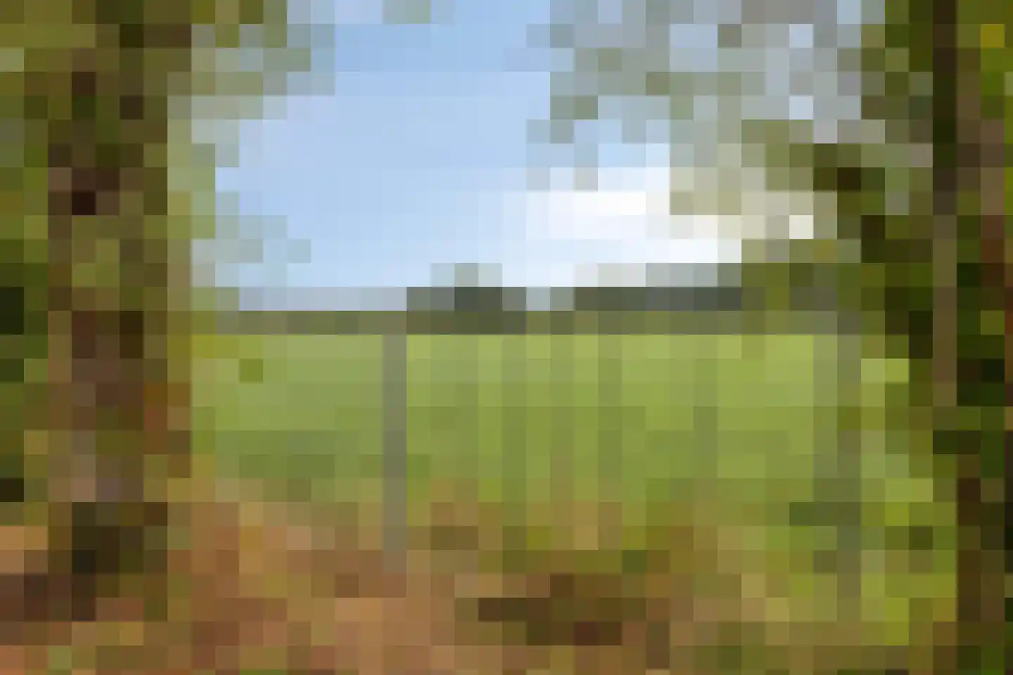 Sint-Oedenrodeseweg 26 Best thumbnail 68