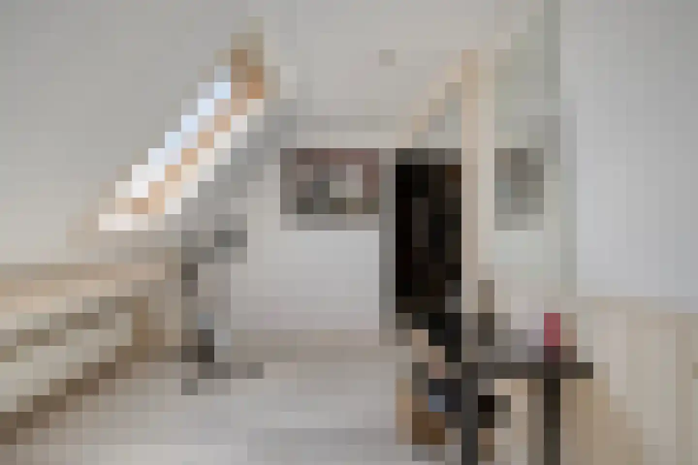 Sint-Oedenrodeseweg 40 Best thumbnail 77