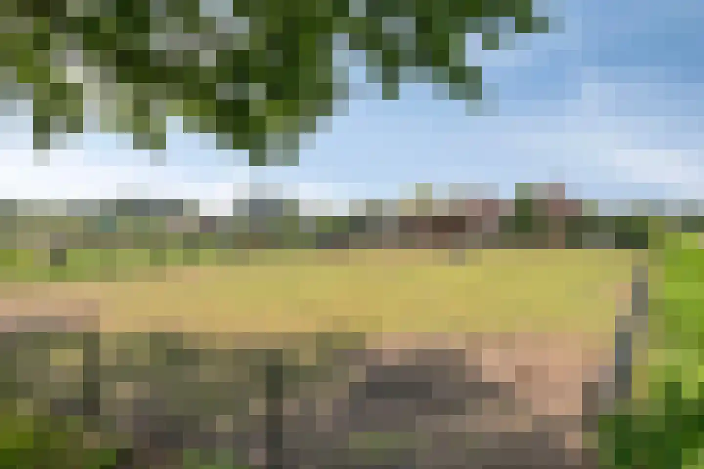Sint-Oedenrodeseweg 40 Best thumbnail 93