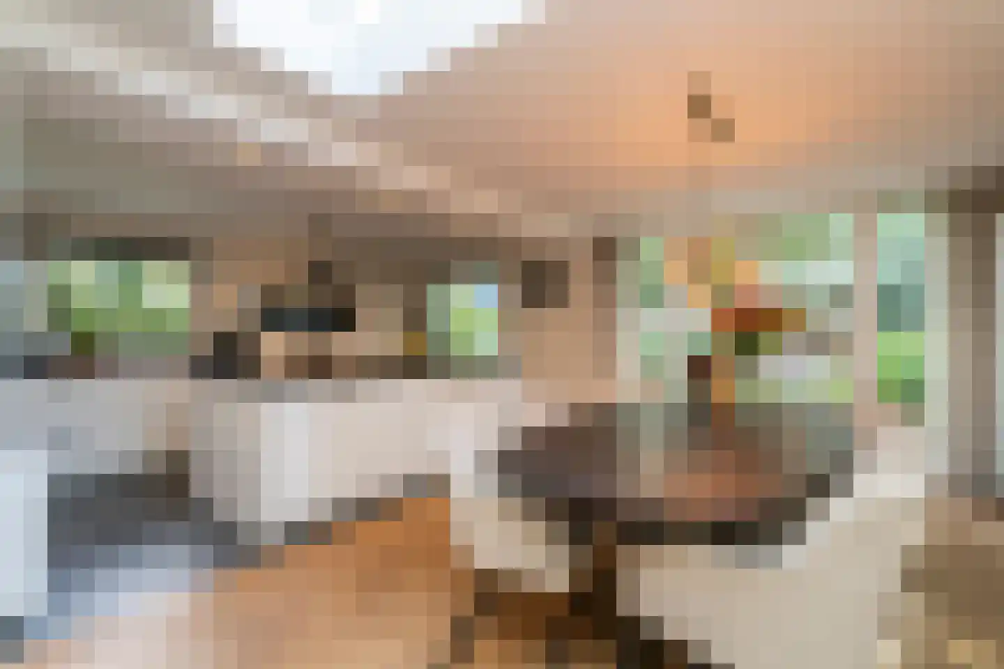 Sint Oloflaan 12 Tilburg thumbnail 15