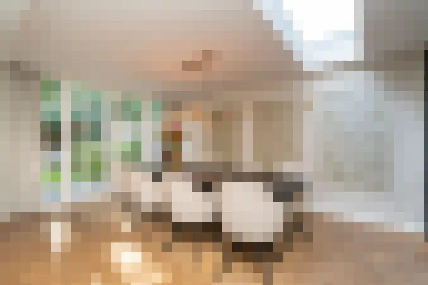 Sint Oloflaan 12 Tilburg thumbnail 16