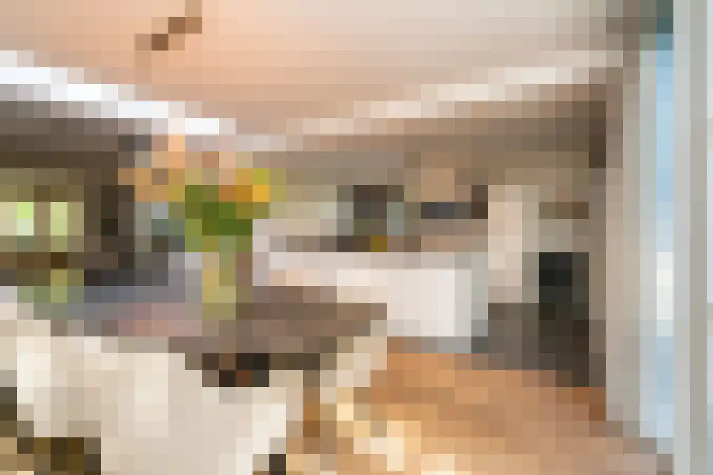 Sint Oloflaan 12 Tilburg thumbnail 17
