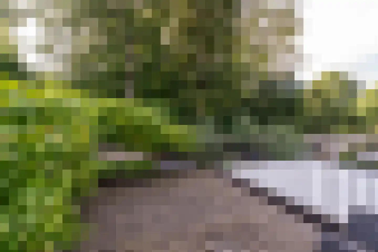 Sint Oloflaan 12 Tilburg thumbnail 35