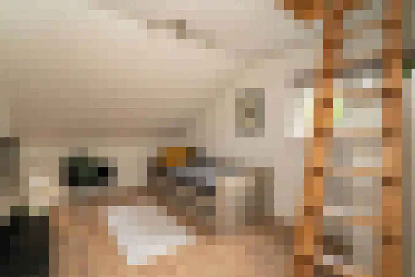 Sint Oloflaan 12 Tilburg thumbnail 38