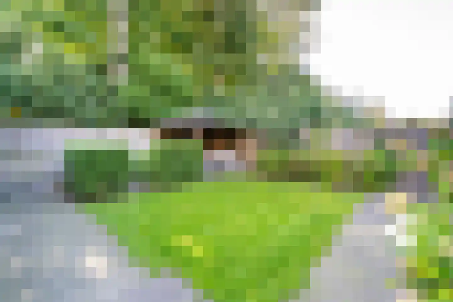 Sint Oloflaan 12 Tilburg thumbnail 48
