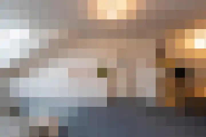 Sint Oloflaan 34 Tilburg thumbnail 35