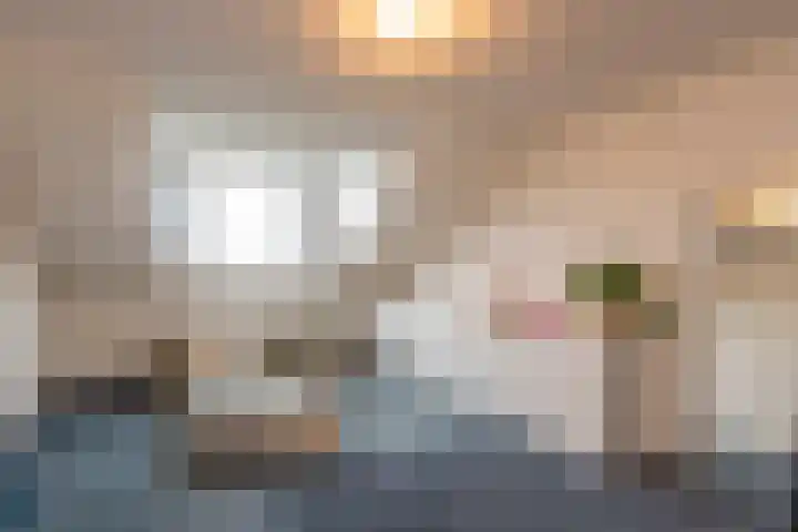 Sint Oloflaan 34 Tilburg thumbnail 36