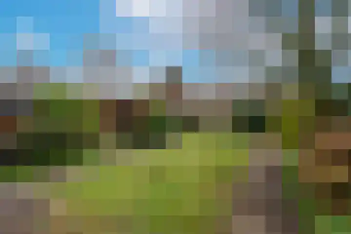 Sint Oloflaan 34 Tilburg thumbnail 41