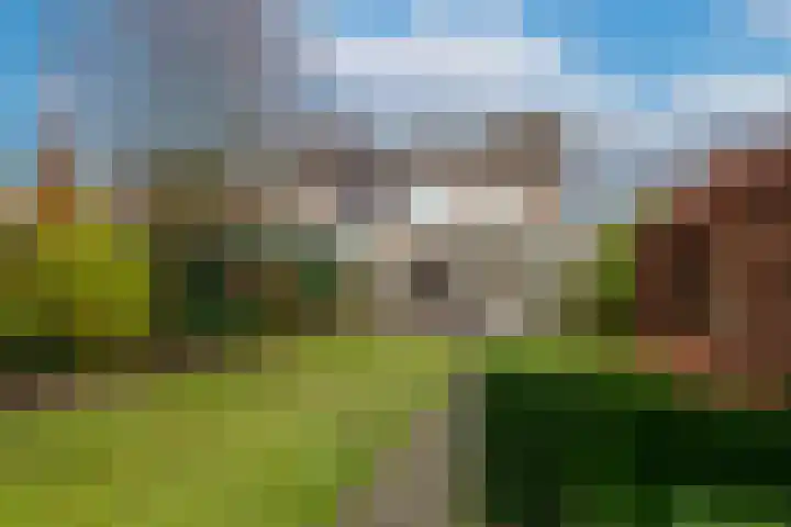 Sint Oloflaan 34 Tilburg thumbnail 42