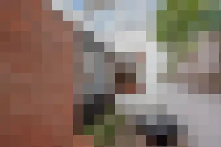 Sint Olofslaan 20 Delft thumbnail 14