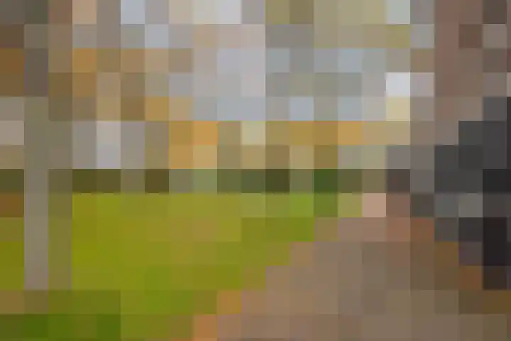 Sint Olofslaan 20 Delft thumbnail 32