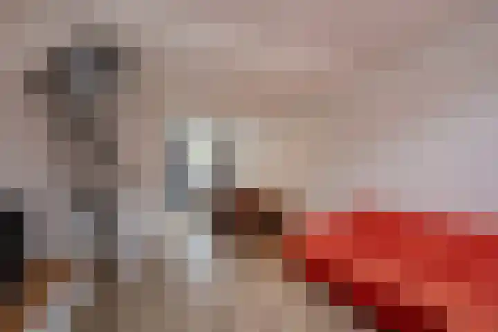 Sint Olofslaan 20 Delft thumbnail 9