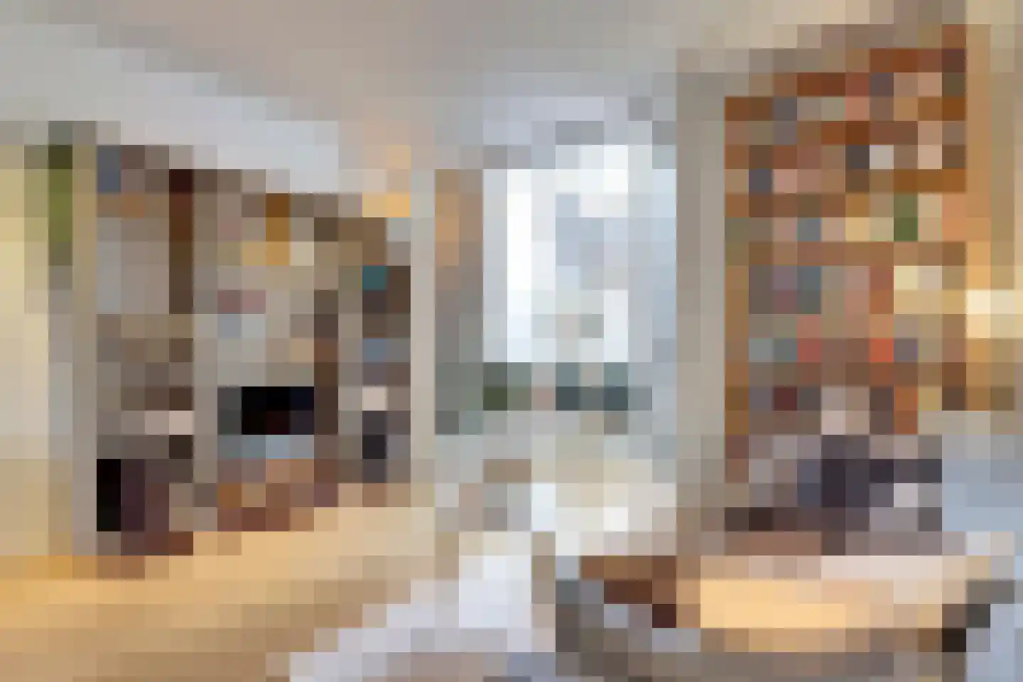 Sint Olofsstraat 13 Delft thumbnail 16