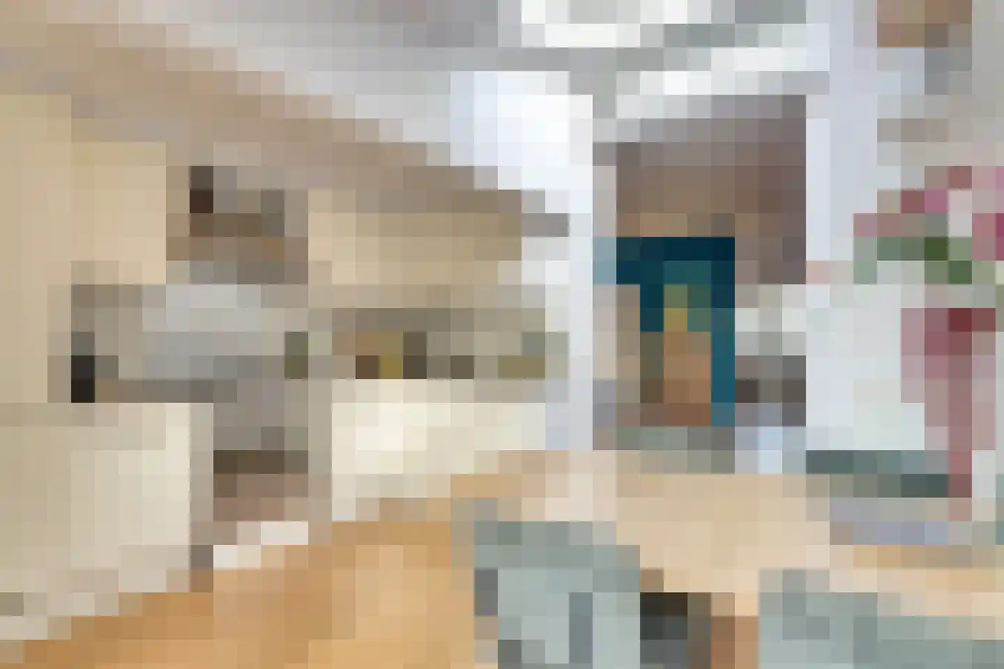 Sint Olofsstraat 13 Delft thumbnail 20