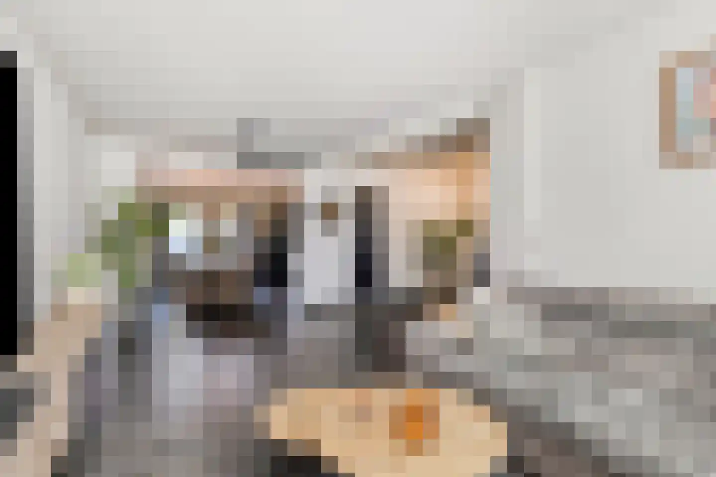 Sint Ontcommerstraat 13 Steenbergen thumbnail 9