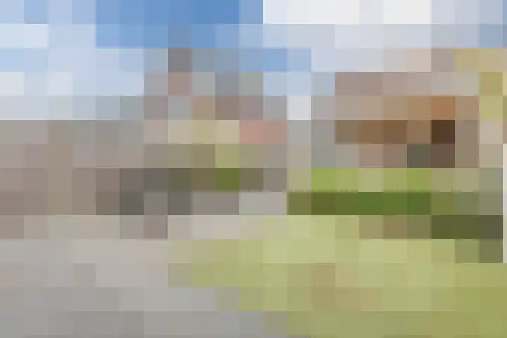 Sint Ontcommerstraat 14 Steenbergen thumbnail 51