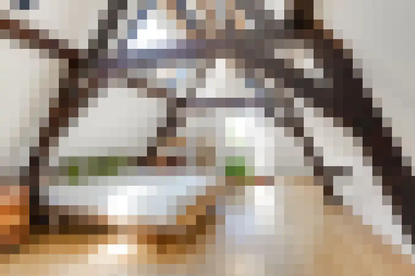 Sint Pancrassteeg 2 Leiden thumbnail 22