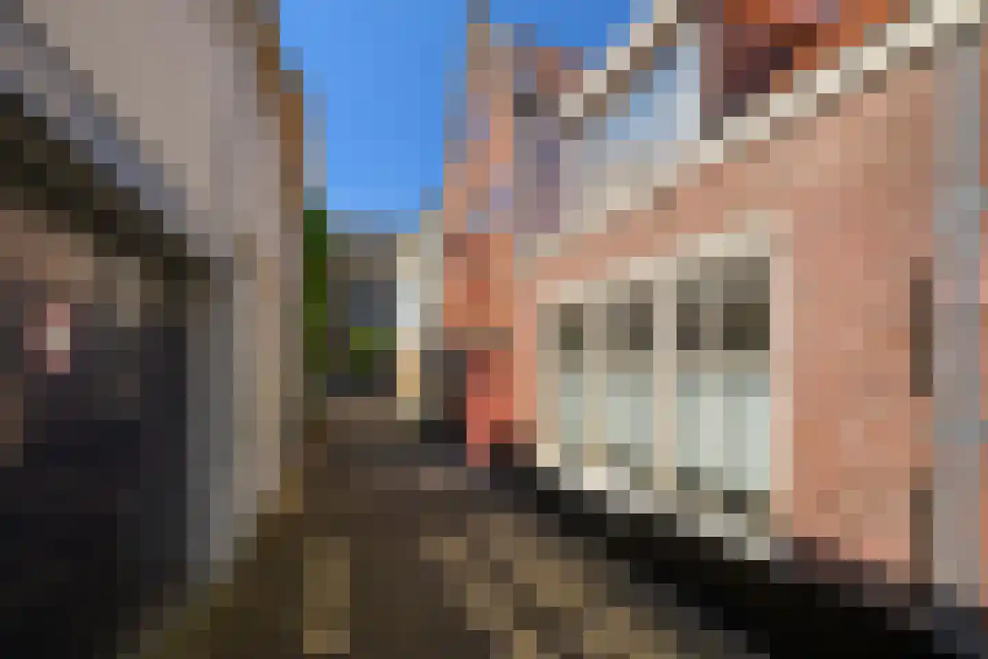 Sint Pancrassteeg 2 Leiden thumbnail 28