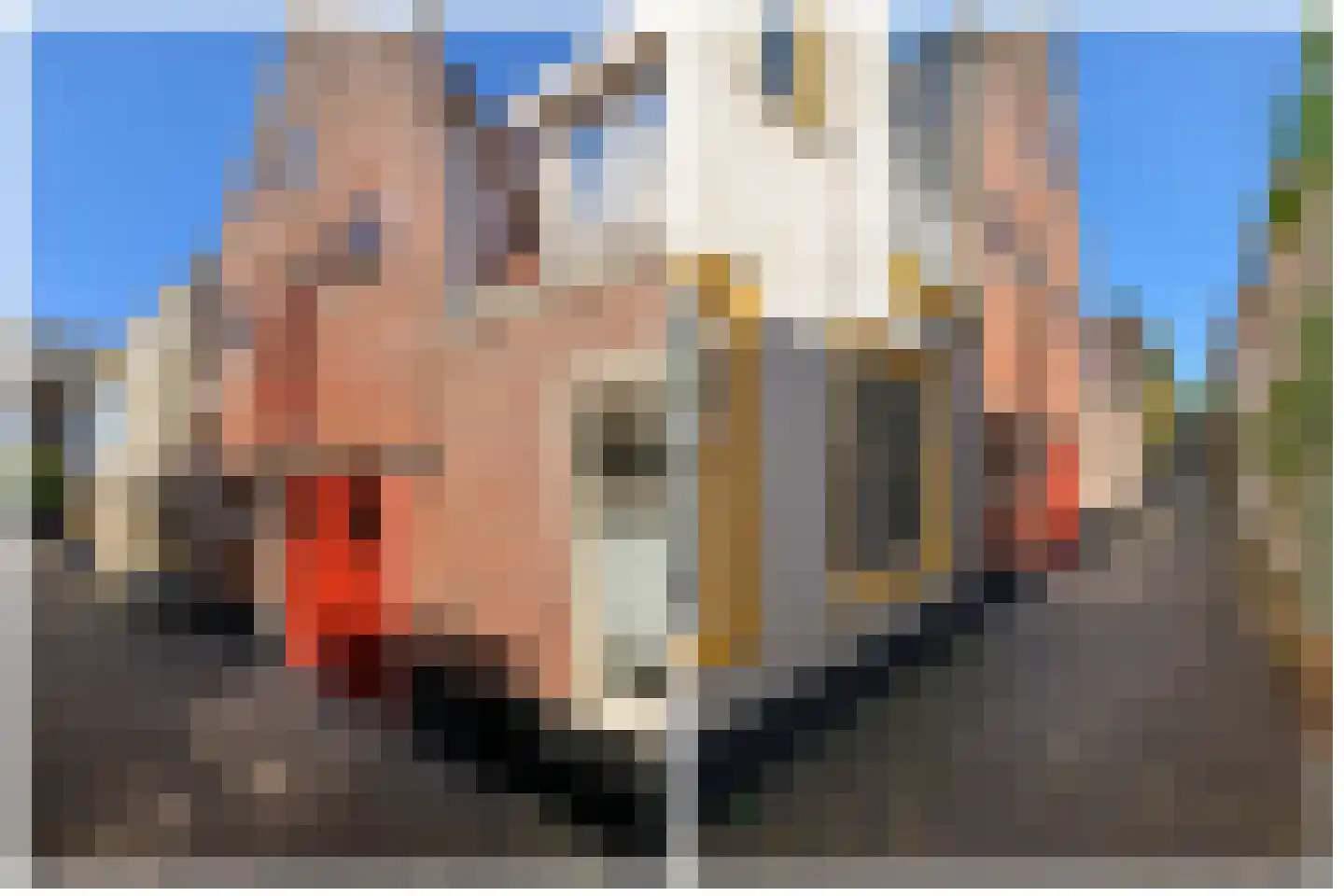 Sint Pancrassteeg 2 Leiden thumbnail 5