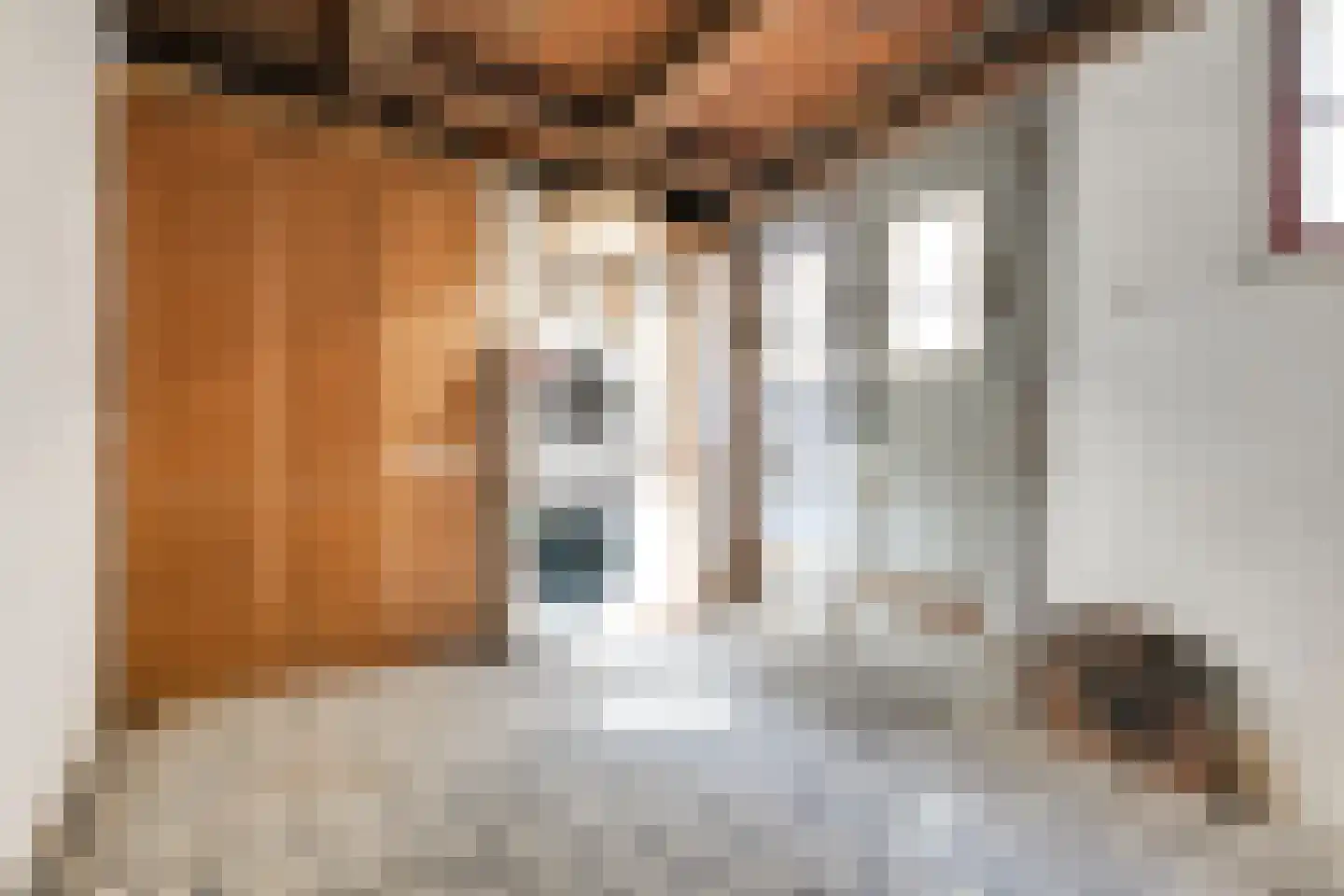 Sint Pancrassteeg 2 Leiden thumbnail 9