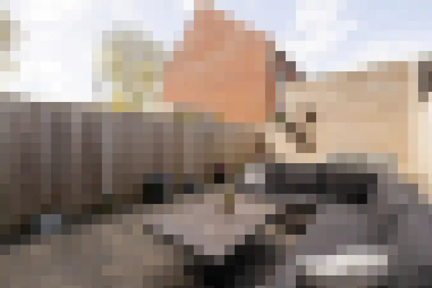 Sint Paulusplantsoen 5 Noordwijkerhout thumbnail 12