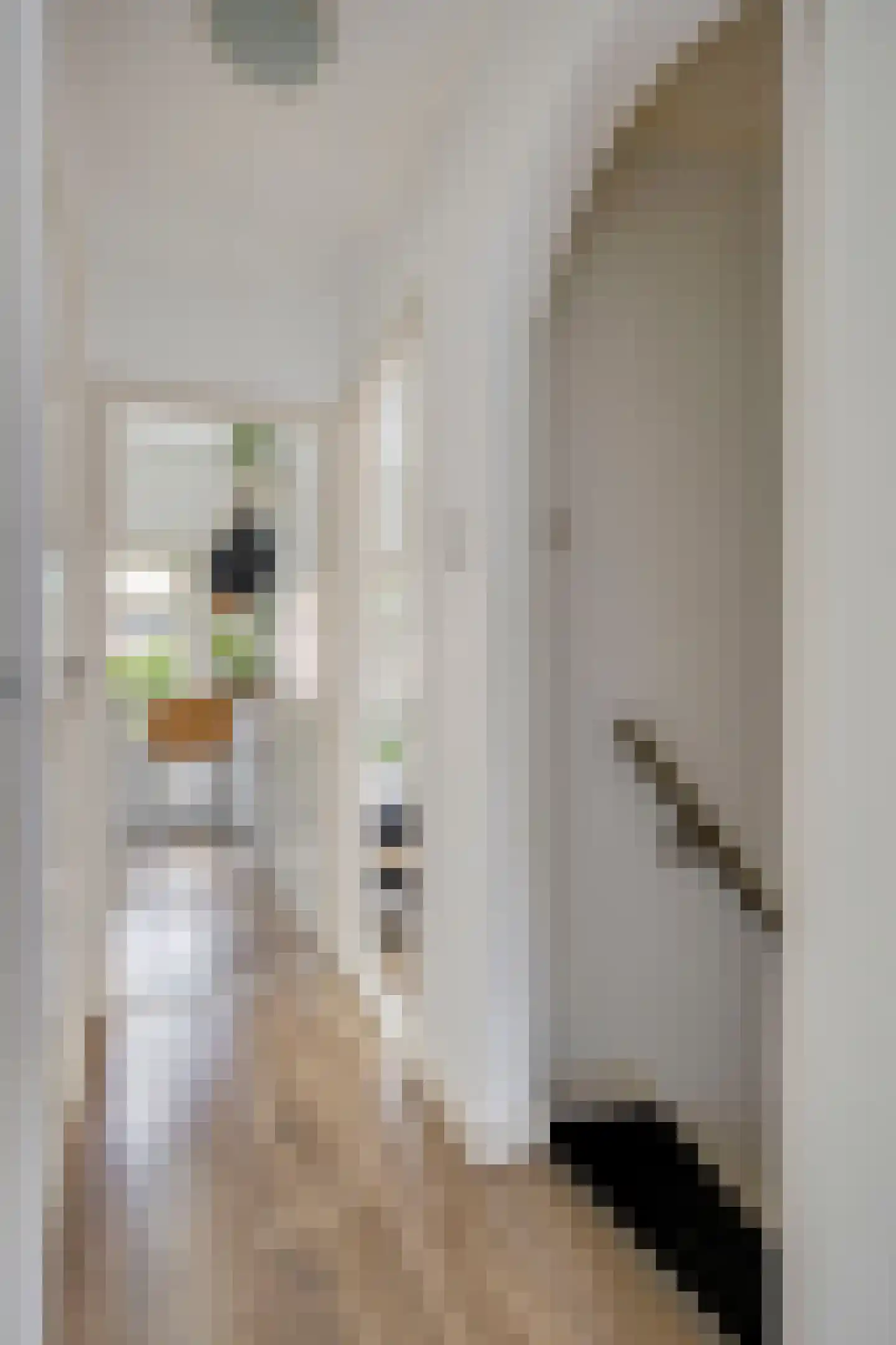 Sint Paulusstraat 110 Tilburg thumbnail 17