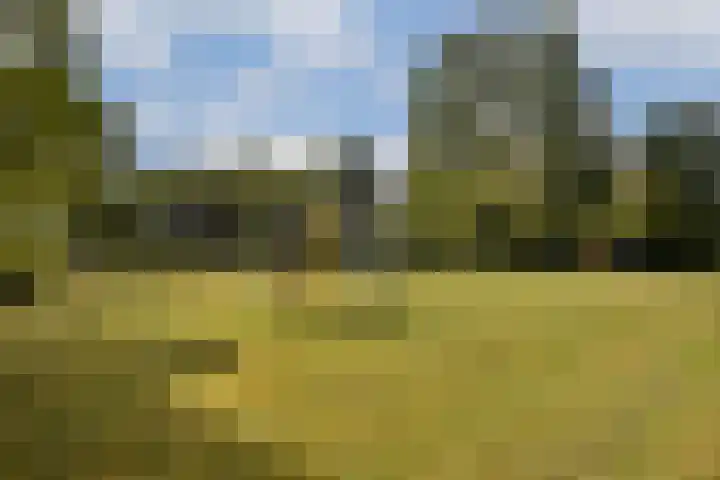 Sint Philipsland 107 Amstelveen thumbnail 18