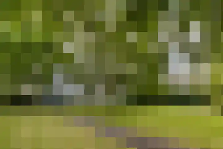 Sint Philipsland 107 Amstelveen thumbnail 21