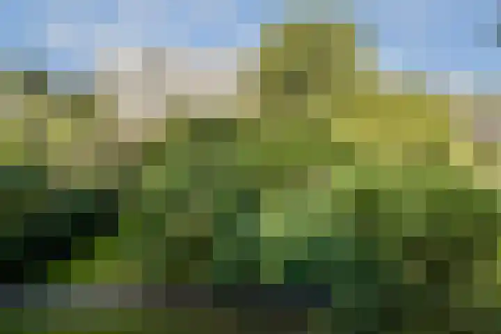 Sint Philipsland 107 Amstelveen thumbnail 4
