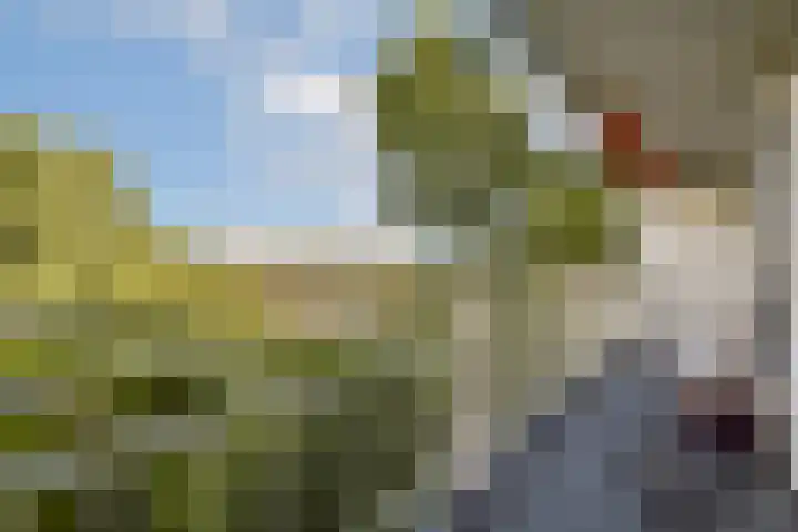 Sint Philipsland 107 Amstelveen thumbnail 7