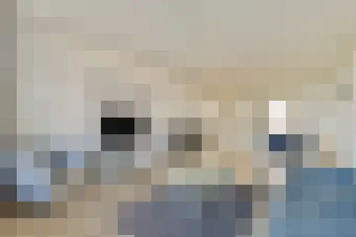 Sint Philipsland 107 Amstelveen thumbnail 9