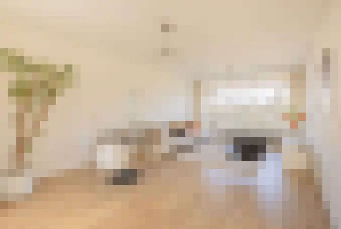 Sint Philipsland 129 Amstelveen thumbnail 9