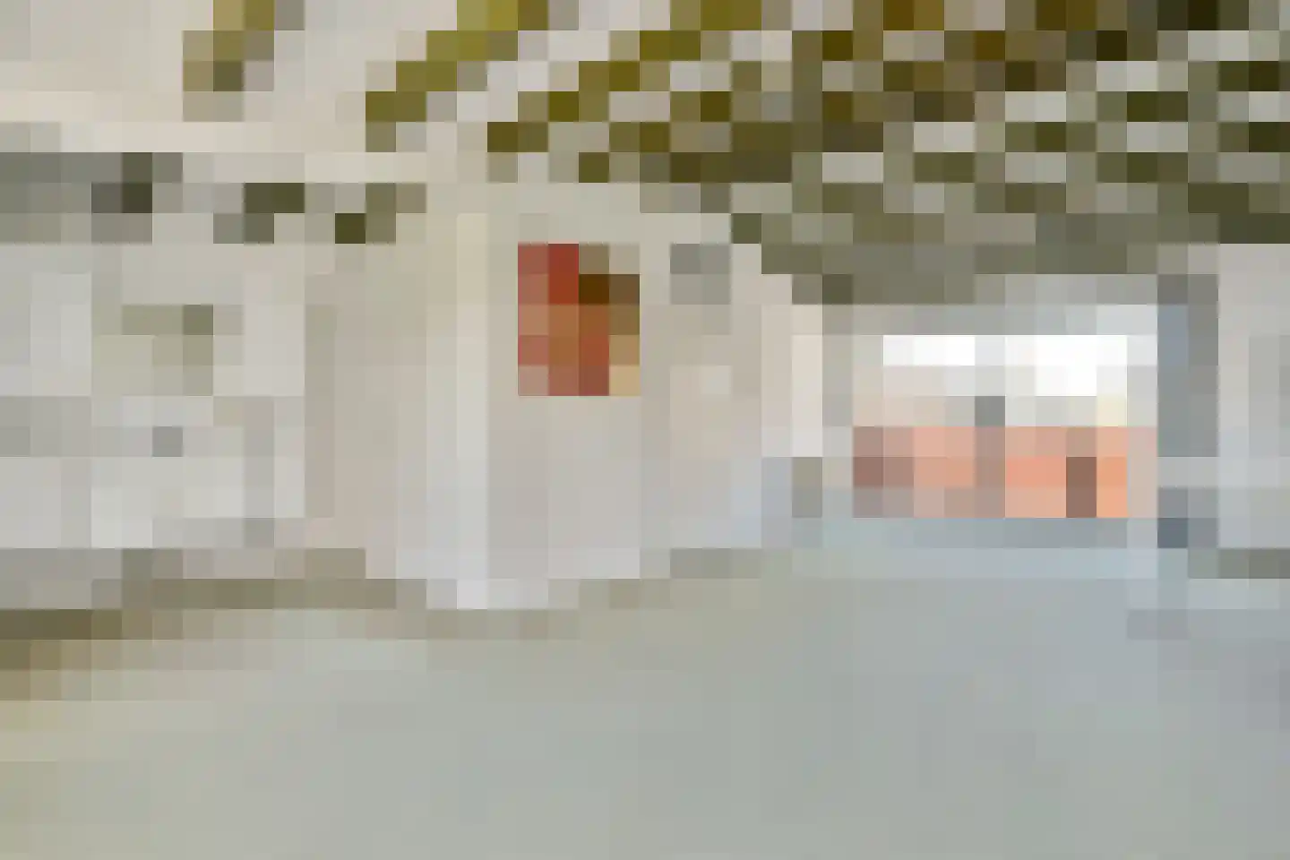 Sint Philipsland 15 Amstelveen thumbnail 19