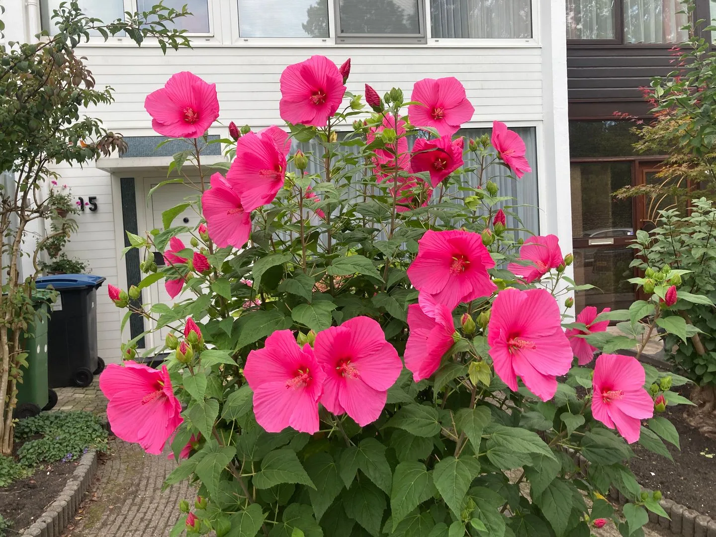 Sint Philipsland 15 Amstelveen thumbnail 5