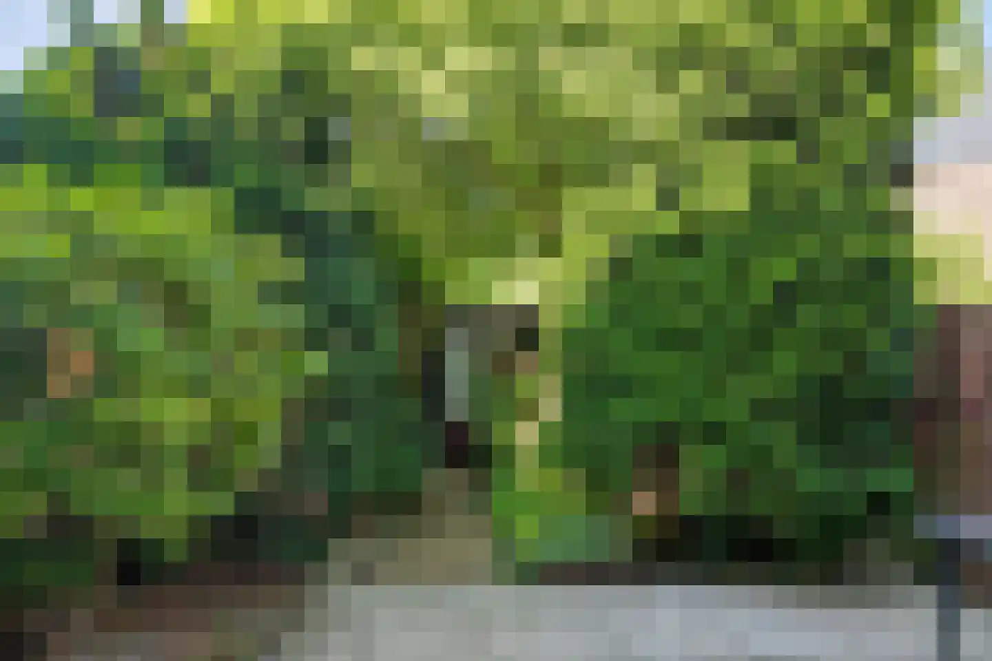 Sint Philipsland 19 Amstelveen thumbnail 10