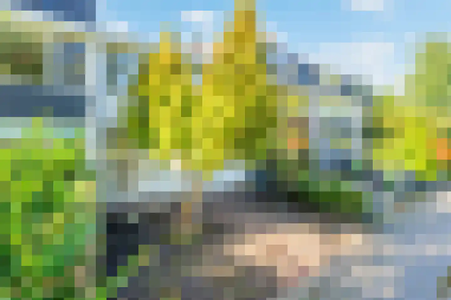 Sint Philipsland 3 Amstelveen thumbnail 29